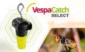 VESPA CATCH SELECT PIEGE FRELONS ASIATIQUES 