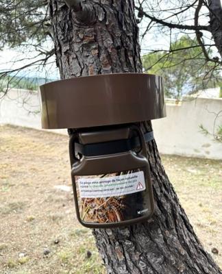 PROCESS ATTRAP PIEGE CHENILLES PROCESSIONNAIRES 4 ARBRES