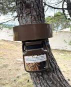 PROCESS ATTRAP PIEGE CHENILLES PROCESSIONNAIRES 4 ARBRES