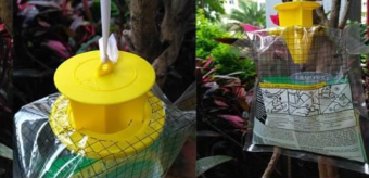 FLYTRAP PIEGE A MOUCHES POUR EXTERIEUR
