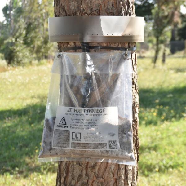 Ecopiege contre chenille processionnaire